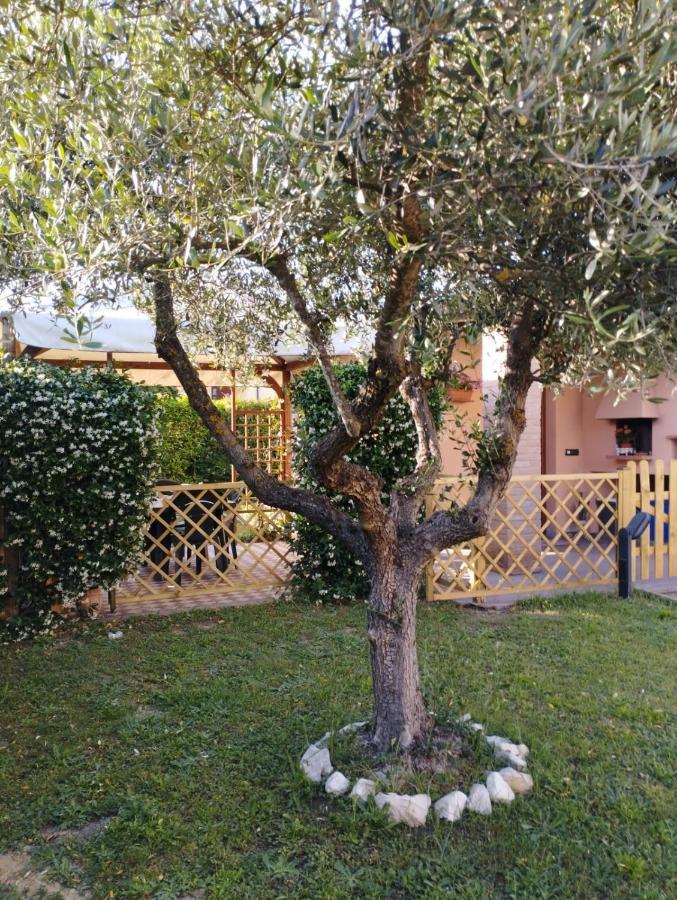 Melody House - Dependance Villa Castel del Bosco  Exterior photo